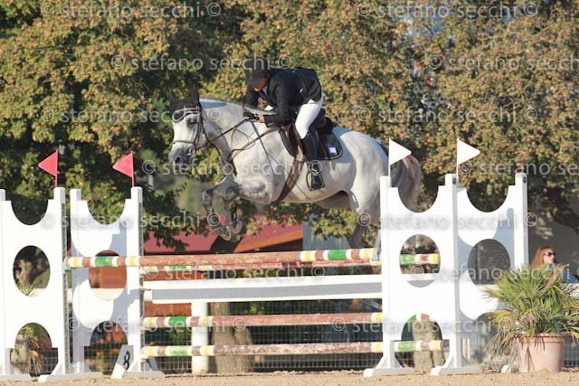 DE VINCENZI_SIRE_GIO CAV 2011_SS3_6244.jpg